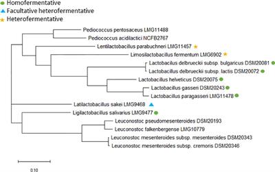 Antimicrobial susceptibility testing and tentative epidemiological cut-off values for Lactobacillaceae family species intended for ingestion